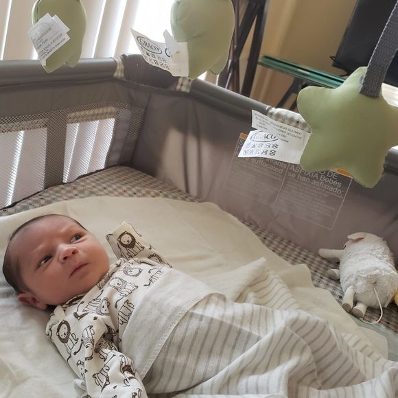 Meet your Posher, Denmie - Picture 1 of 1